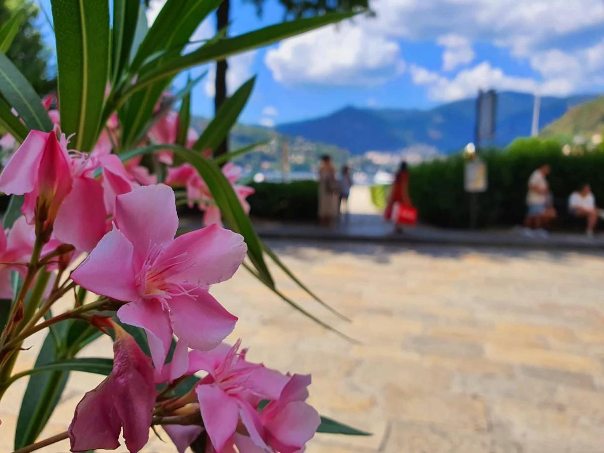 Divina Luxury Apartment With Jacuzzi Near The Lake Como Eksteriør bilde